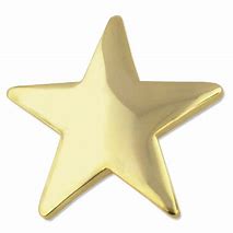 Image result for Gold Star Lapel Pin