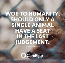 Image result for Animal Rights Quotes