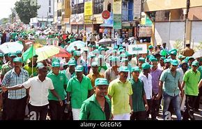 Image result for Colombo People
