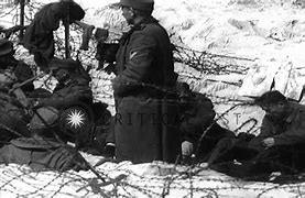 Image result for D-Day German Prisoners