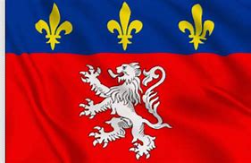 Image result for Lyon Flag