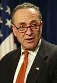Image result for Schumer