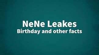 Image result for NeNe Leakes Now