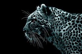 Image result for Awesome Wallpapers HD
