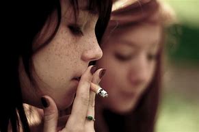 Image result for Commercial Smokers for Sale