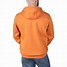 Image result for Carhartt Brown Midweight Signature Sleeve Hooded Sweatshirt