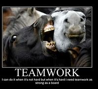 Image result for Funny Positive Quotes Teamwork