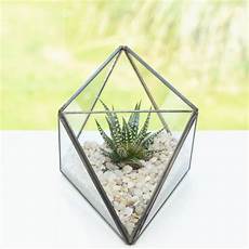 octahedron geometric succulent terrarium by dingading terrariums