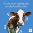 Image result for Cow Jokes