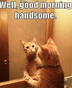 Image result for Good Morning Funny Cat Quotes
