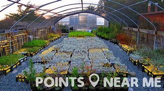 Image result for Local Nurseries Near Me