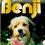 Image result for Best Dog Movies of All Time