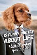 Image result for Humorous Daily Quotes