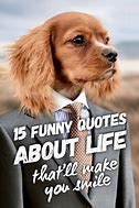Image result for Life Quotes Funny People