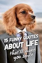 Image result for Funny Lifestyle Quotes