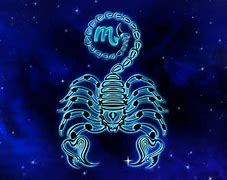 Image result for Cool Scorpion Pics