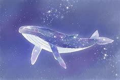 Space Whale by springroll97 on DeviantArt