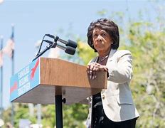 Image result for Maxine Waters Impeachment Pens