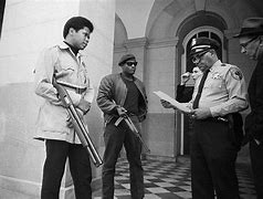 Image result for Black Panthers at Ballot Box