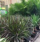 Image result for Lowe's Store Locator