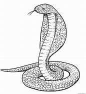 Image result for Cobra Drawing