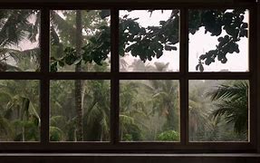 Image result for Tropical Storm Window