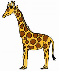 Image result for Giraffe Cartoon
