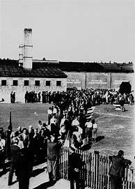 Image result for Concentration Camp Death March