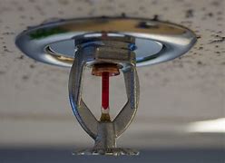 Image result for Fire Sprinkler Ceiling