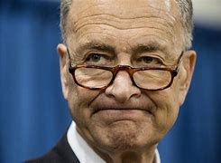 Image result for Pics of Schumer
