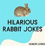 Image result for Bunny Rabbit Jokes