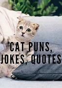 Image result for Long Cat Jokes