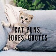 Image result for Cat Clime Puns