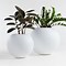 Image result for White Indoor Planters