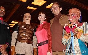 Image result for Star Trek Fans in Costume