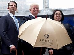 Image result for The Trump Organization Office
