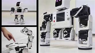 Image result for Rero Robot