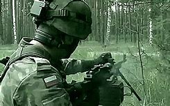Image result for Ukraine Military