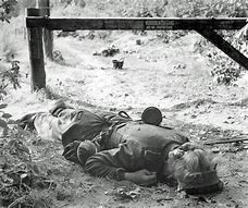 Image result for WWII German Dead