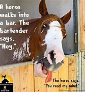 Image result for Horse Bar Joke