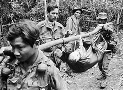 Image result for Vietnam War Helmet with Leaves in JT