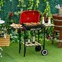 Image result for Portable Barbecue Grills