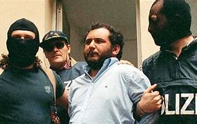Image result for Italian-American Mafia