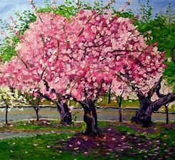 Image result for images cherry trees in blossom victorian painting