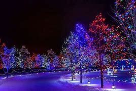 Image result for Christmas Lights Snow