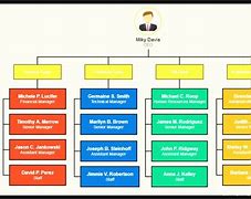 Image result for Types of Organizational Charts