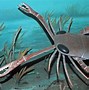 Image result for Eurypterids or Ancient Sea Scorpions