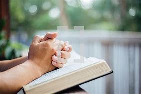 Image result for free picture of praying hands and bible