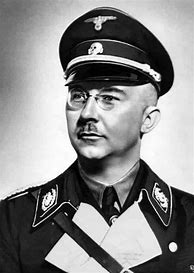 Image result for Himmler Looking