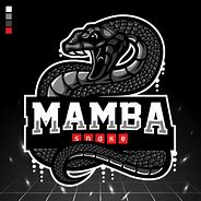 Image result for Mamba Sports Academy Logo SVG